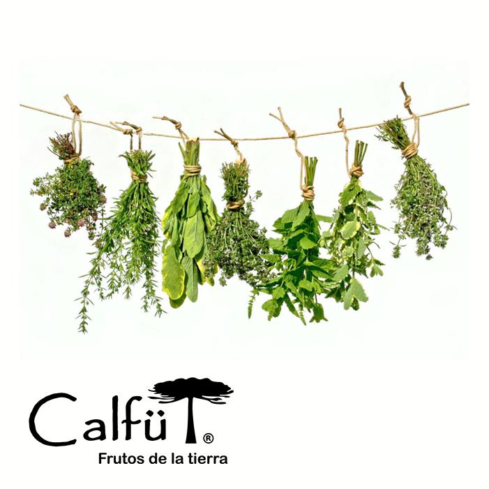 Hierbas y Té