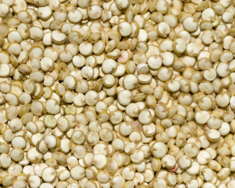 Quinoa Blanca