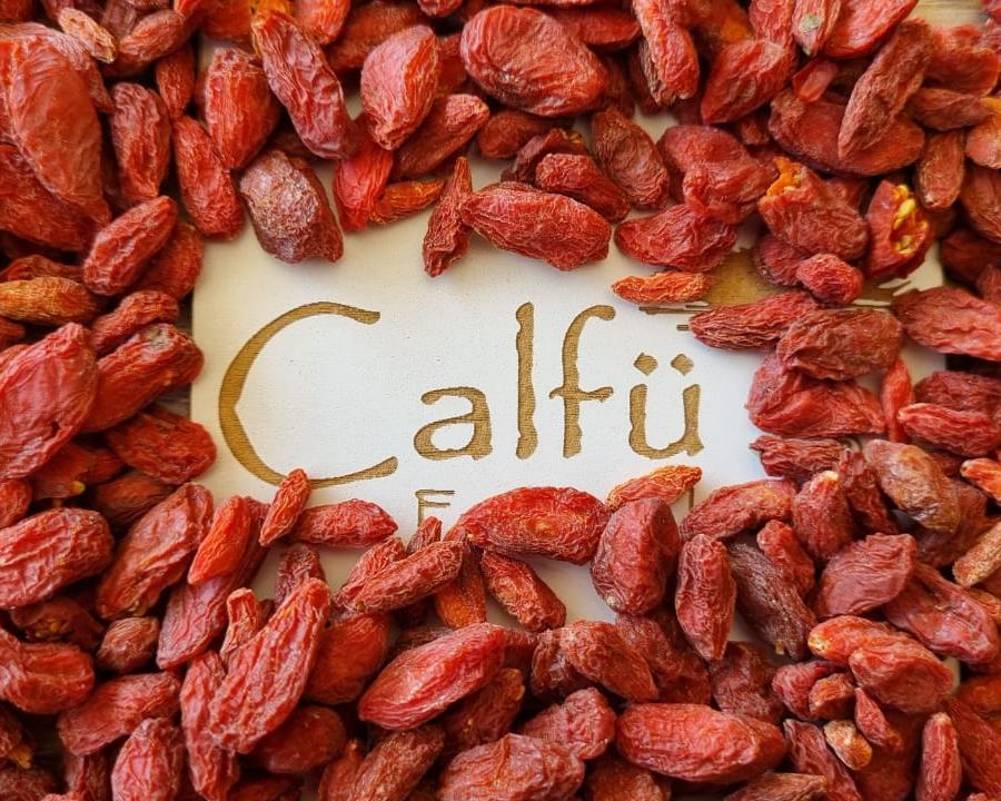 Goji