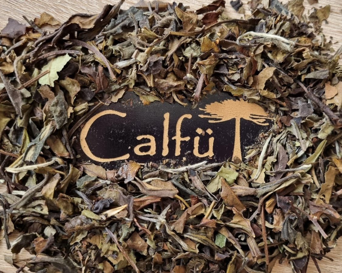 Té Blanco