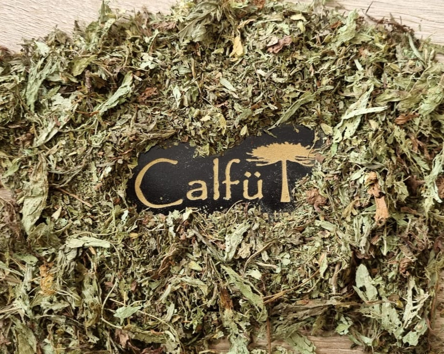 Stevia