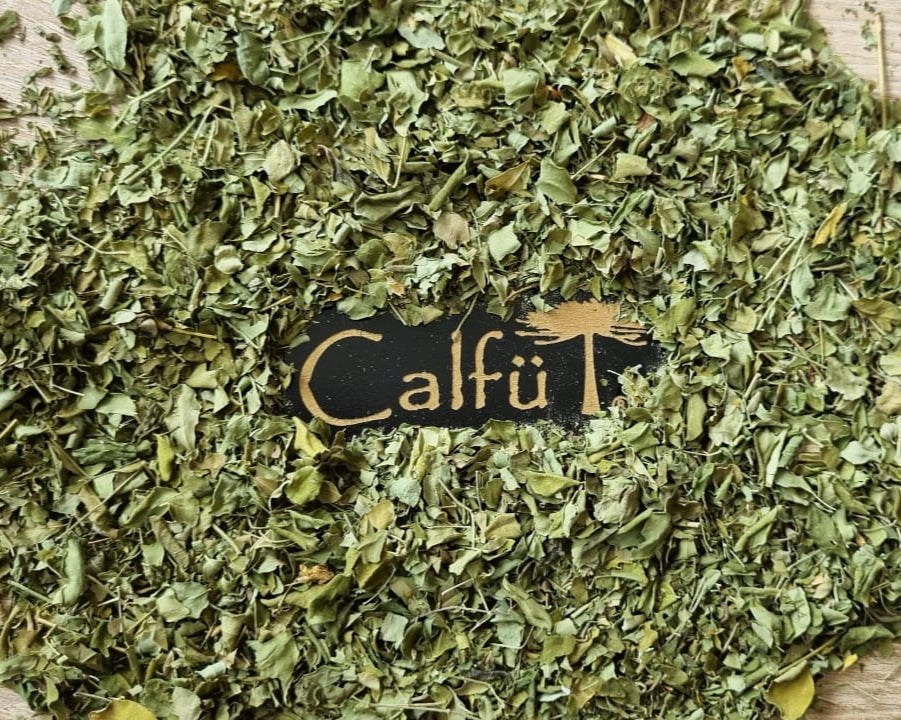 Moringa