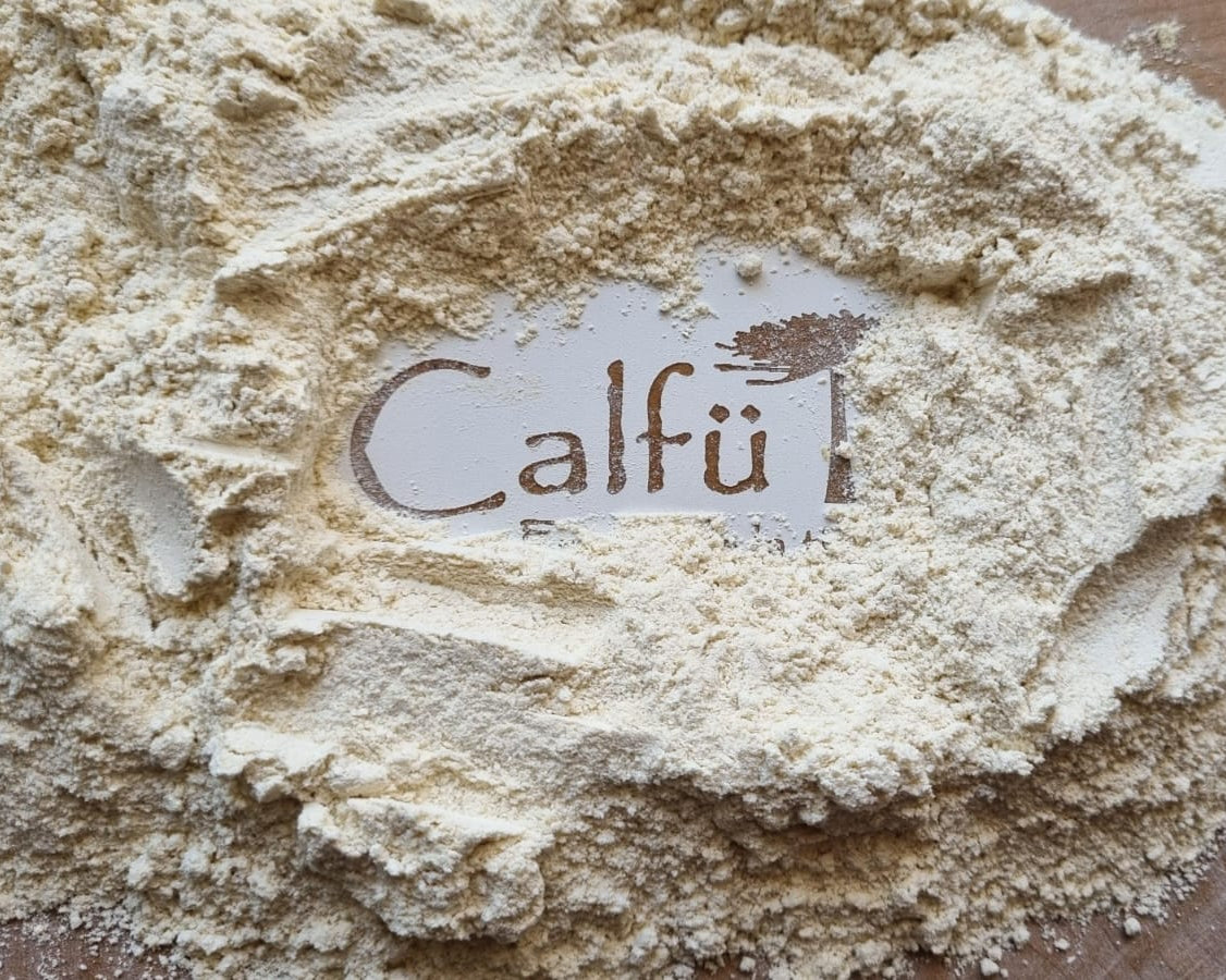 Harina de Quinoa