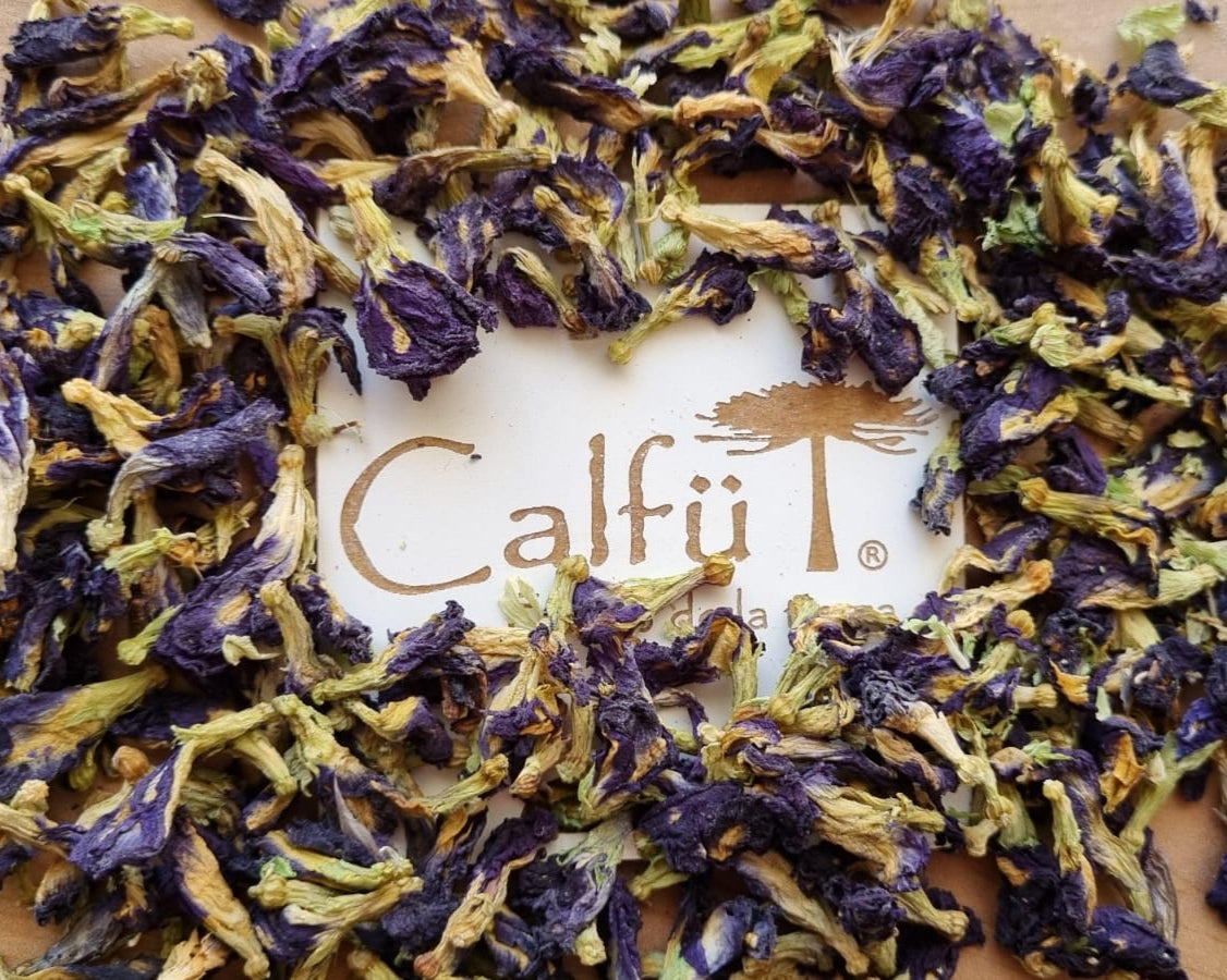 Butterfly Pea