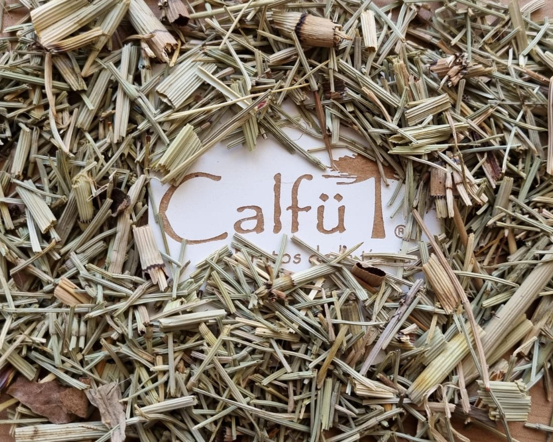 Cola de Caballo
