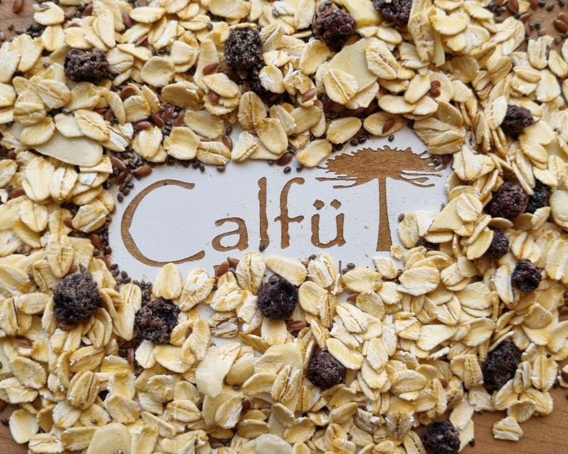 Mix Avena - Arándano