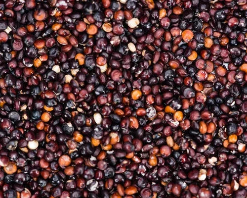Quinoa Negra