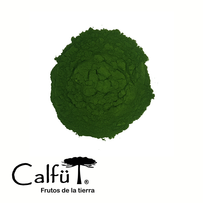 Frasco Chlorella (Polvo)