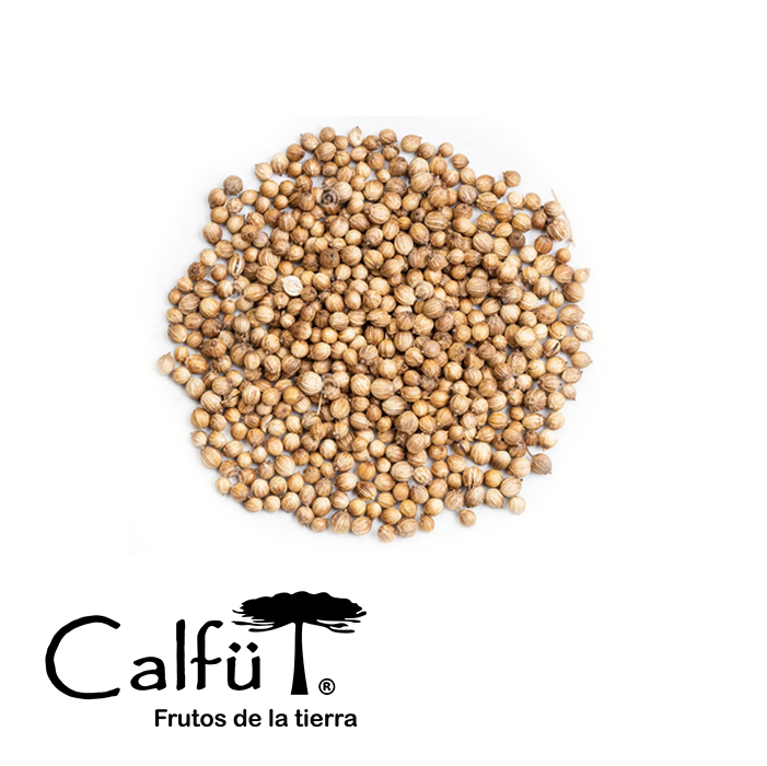 Frasco Cilantro (Entero y Polvo)
