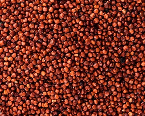 Quinoa Roja