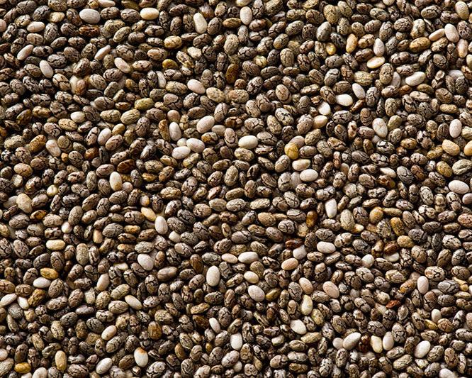 Chia