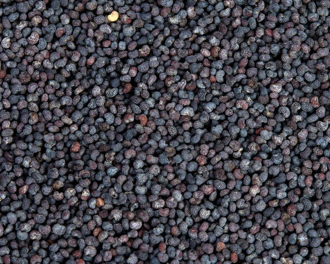 Amapola