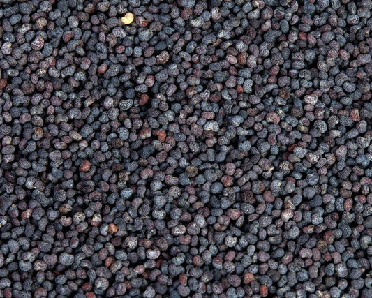 Amapola